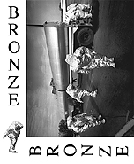 Bronze Cassette Cover